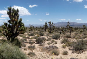 El desert de Mojave en moto