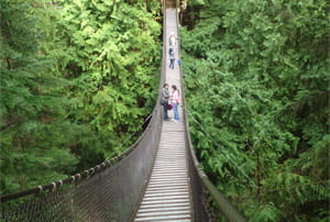 Pont penjat sobre el riu Lynn, a prop de Vancouver