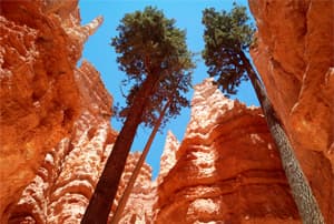 El fascinant parc nacional Bryce Canyon