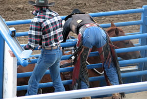 A Wyoming assistirem a un rodeo espectacular
